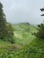 das alles in himmlischer Stille