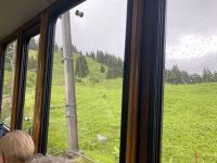 die Wiesen freuen sich über den Nieselregen