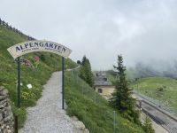 Eingang zum Alpengarten