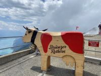 Lebensgroße Holzkuh für Föteli