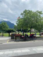 noch klassischer: Kutsche in Interlaken