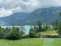 wieder am Brienzer See