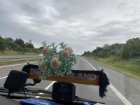 in Sachsen statt in Sachseln :-)