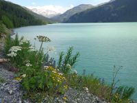 Marmorera-Stausee am Julierpass, Surses, Schweiz