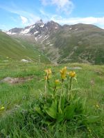 Piz Muragl gesehen von Muottas Muragl, Samedan, Schweiz