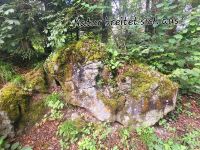 Ballenberg, wenn man Natur Natur sein lässt