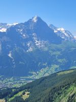 Blick vom First auf die Jungfrau