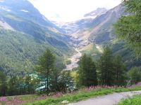 060.1 Fahrt mit dem Bernina Express - Piz Palü und Palügletscher