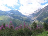060.3 Fahrt mit dem Bernina Express - Piz Palü und Palügletscher