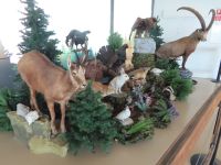 289.1 Auf dem Pilatus