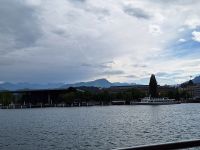 326 Luzern - Rundfahrt mit der Saphir auf dem Vierwaldstättersee