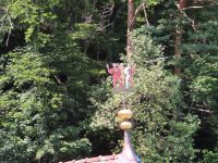 361 Fahrt mit dem Raddampfer von Luzern nach Flüelen