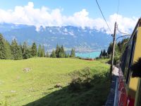 385 Ausflug zur Schynigen Platte - Fahrt mit der Nostalgische Zahnradbahn