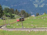 390 Ausflug zur Schynigen Platte - Fahrt mit der Nostalgische Zahnradbahn