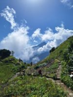 422 Ausflug zur Schynigen Platte - Alpengarten