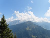 427 Ausflug zur Schynigen Platte - die Berge verstecken sich in den Wolken