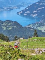 430 Ausflug zur Schynigen Platte - Blick zum Thunersee