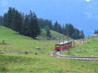 442 Ausflug zur Schynigen Platte -