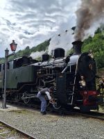 481.2 Fahrt mit der Furka Dampfbahn - Stopp in Tiefenbach