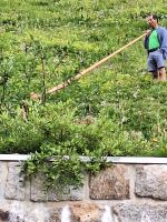 487 Fahrt mit der Furka Dampfbahn - Stopp unterhalb des Furkapasses