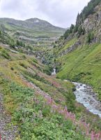 518 Grimselpassstraße