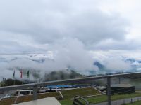 530 Auf der Rigi - die Berge sind nicht zu sehen