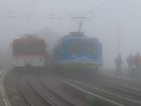 535 Auf der Rigi - die Züge sind fast nicht zu sehen