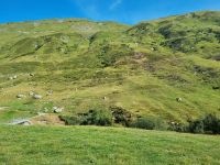 Fahrt mit der Furka-Dampfbahn von Realp nach Oberwald...