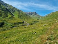 Fahrt mit der Furka-Dampfbahn von Realp nach Oberwald...