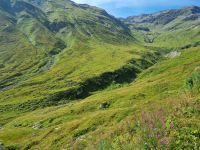 Fahrt mit der Furka-Dampfbahn von Realp nach Oberwald...