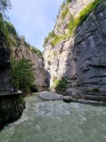 Aareschlucht 