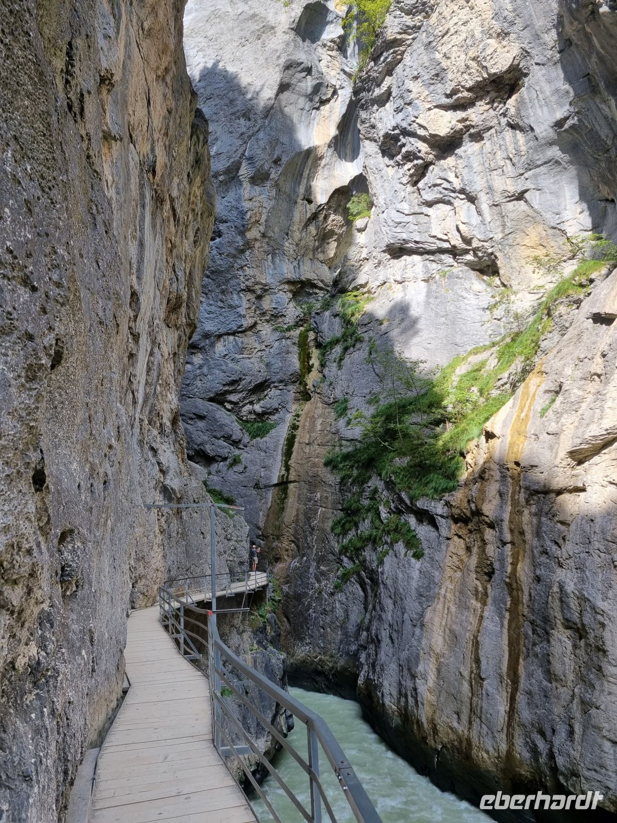 Aareschlucht 