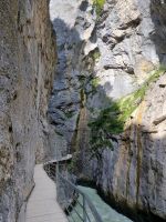 Aareschlucht 