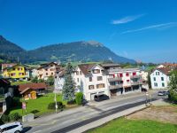 Fahrt mit der Rigi-Dampfbahn nach Rigi-Kulm...