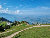 Wanderung von Rigi-Kulm nach Rigi-Staffel...