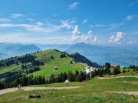 Wanderung von Rigi-Kulm nach Rigi-Staffel...