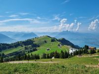 Wanderung von Rigi-Kulm nach Rigi-Staffel...
