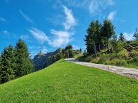 Wanderung von Rigi-Kulm nach Rigi-Staffel...