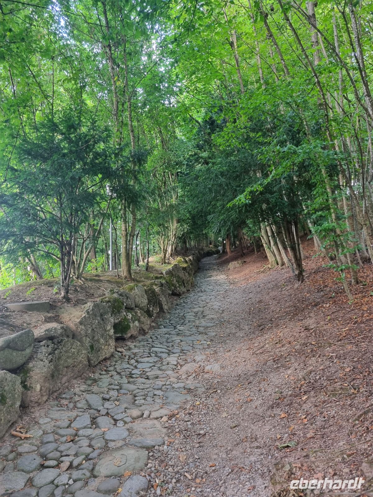 Küssnacht a. R. -  Hohle Gasse