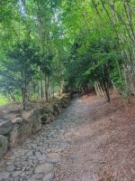 Küssnacht a. R. -  Hohle Gasse