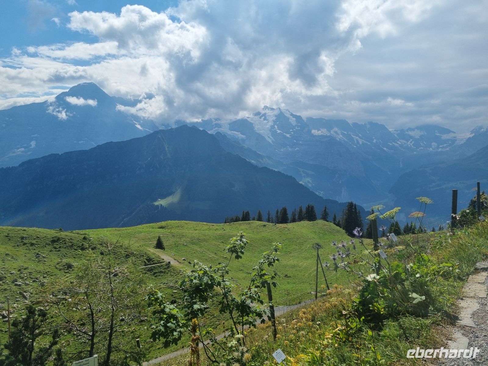 Schynige Platte - Alpengarten