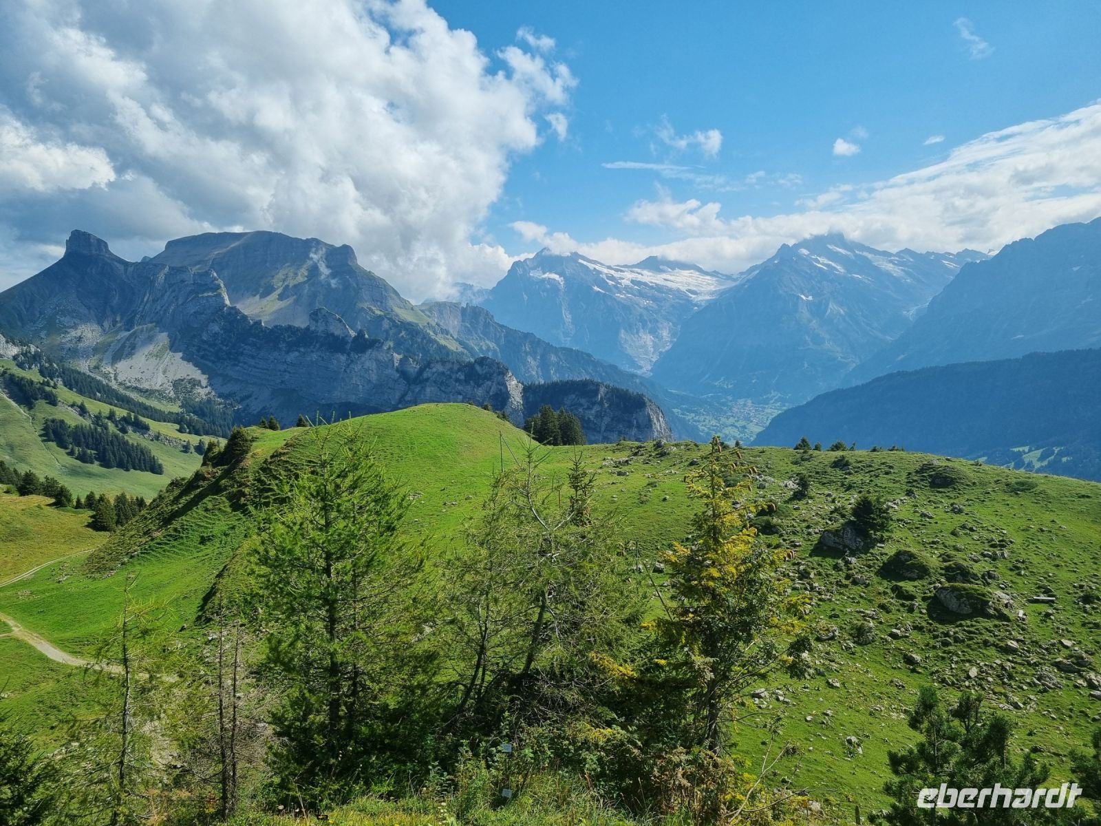Schynige Platte - Alpengarten