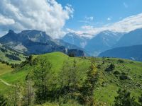 Schynige Platte - Alpengarten