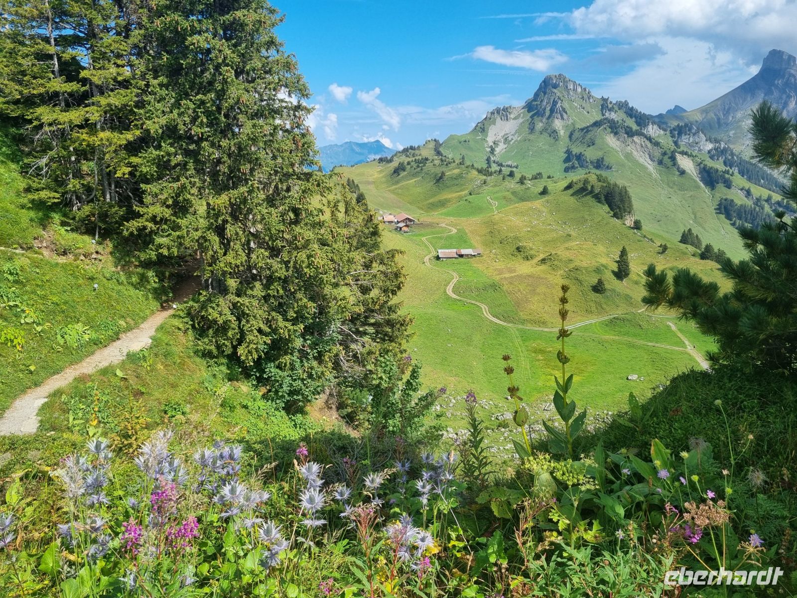 Schynige Platte - Alpengarten