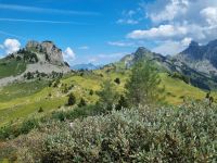 Schynige Platte - Alpengarten