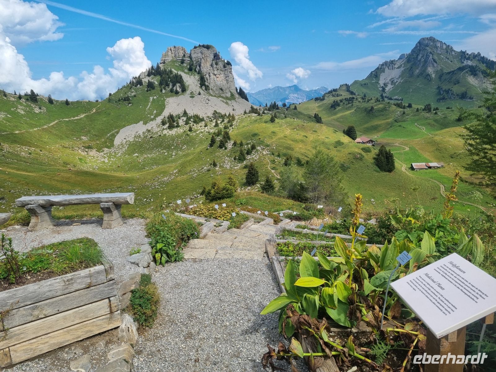 Schynige Platte - Alpengarten