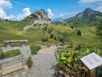 Schynige Platte - Alpengarten