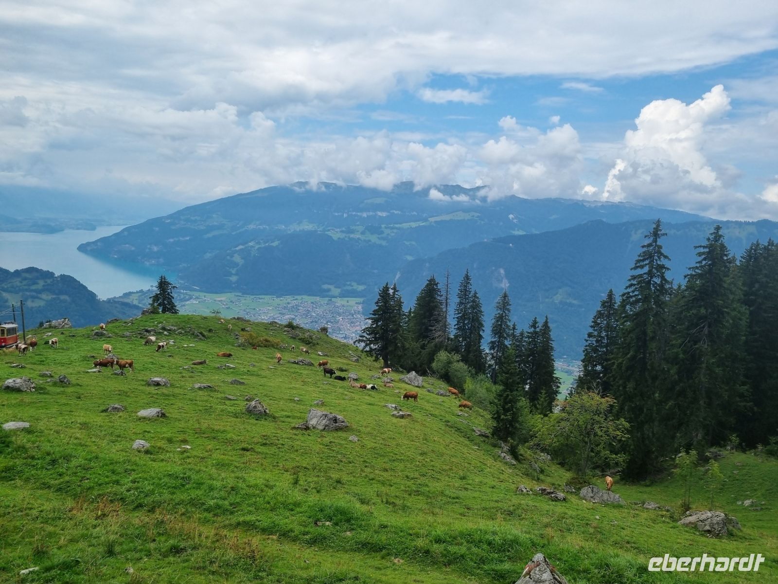 Fahrt von der Schynigen Platte nach Wilderswil... (Thuner See)