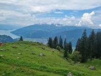 Fahrt von der Schynigen Platte nach Wilderswil... (Thuner See)