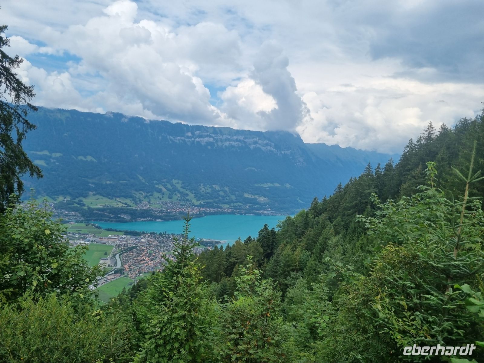 Fahrt von der Schynigen Platte nach Wilderswil... (Brienzer See)